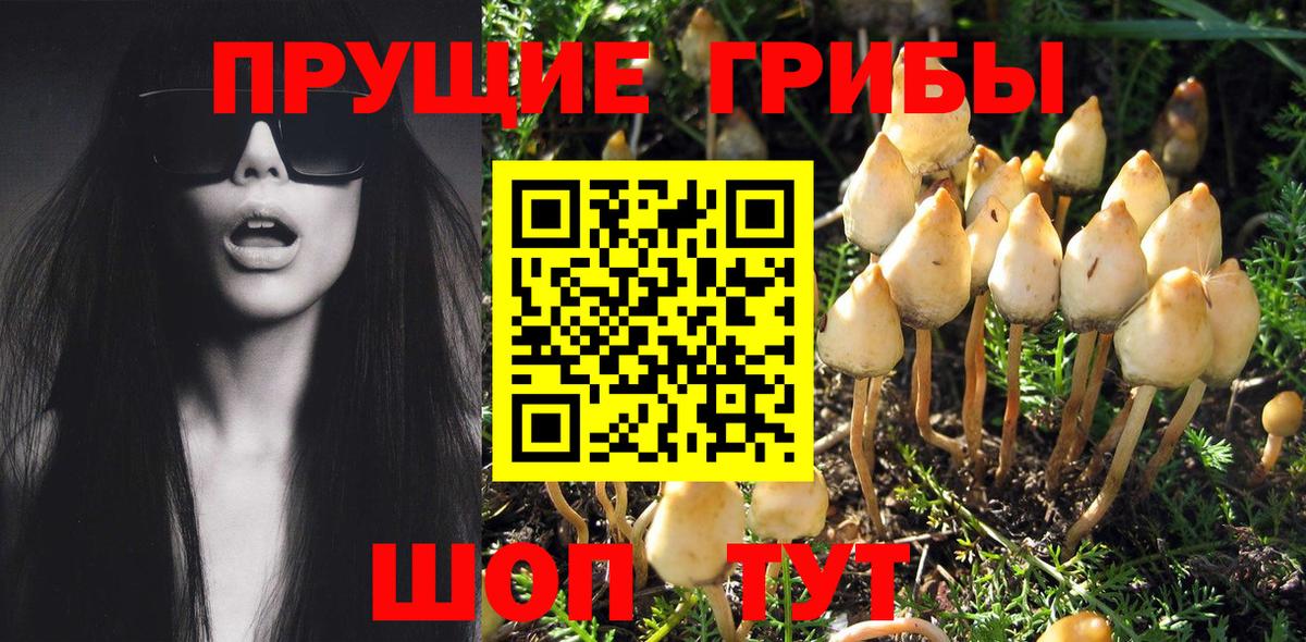 Галлюциногенные грибы MAGIC MUSHROOMS  Вход с VPN  Владивосток 