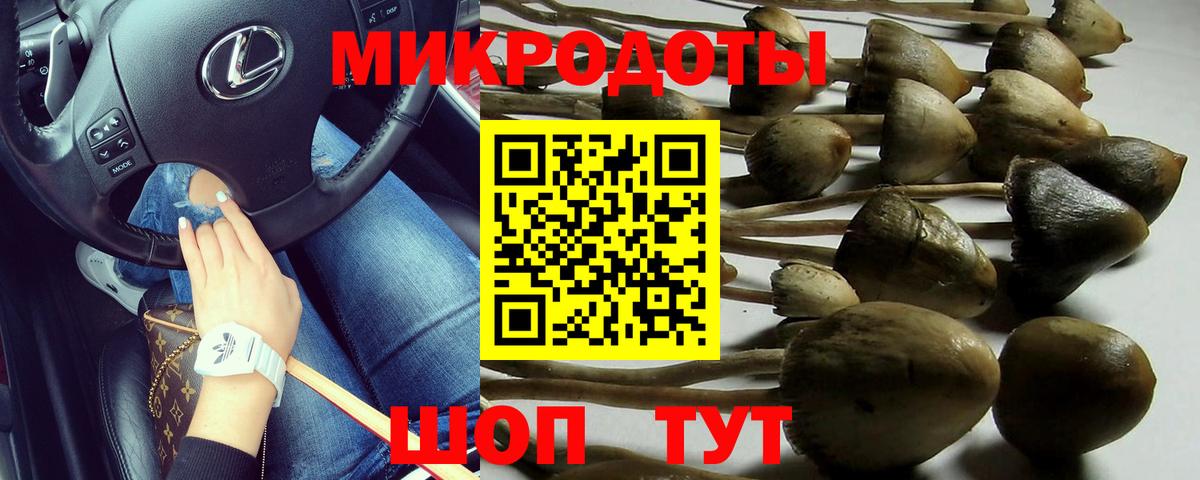 Псилоцибиновые грибы прущие грибы Владивосток